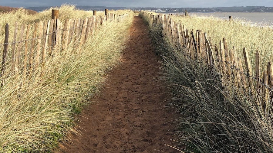 I love the mixture of grasses, sea, sand and sky in this photo. This beach is very rustic and real.