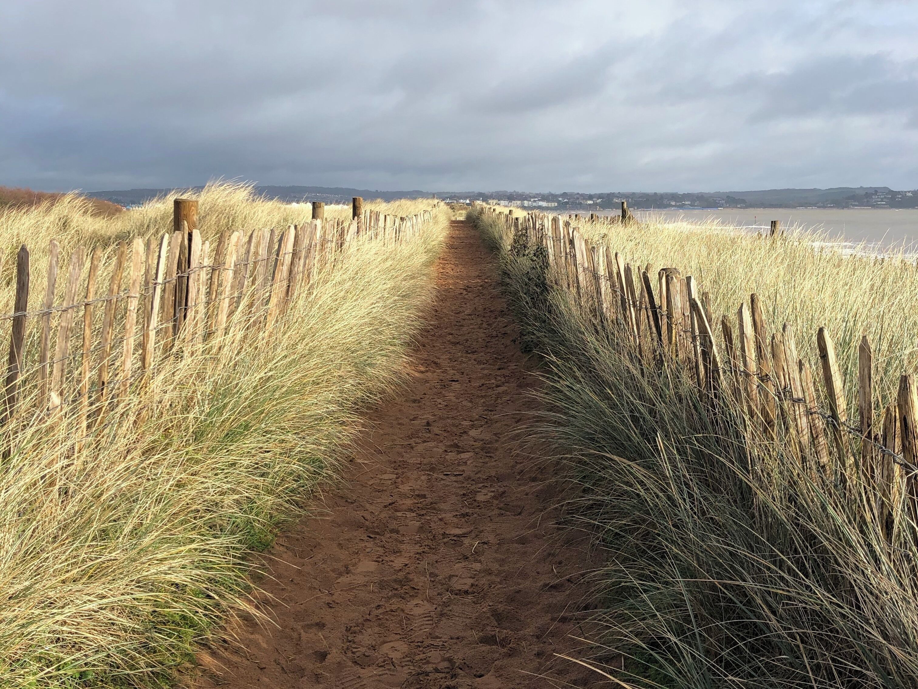 A sandy path flanked by tall grass and wooden posts.