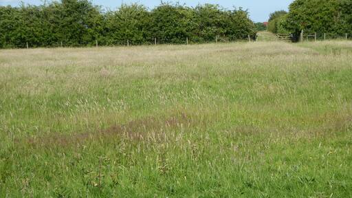 Foxburrow Farm is a nature reserve in Melton in Suffolk. It is managed by the Suffolk Wildlife Trust.