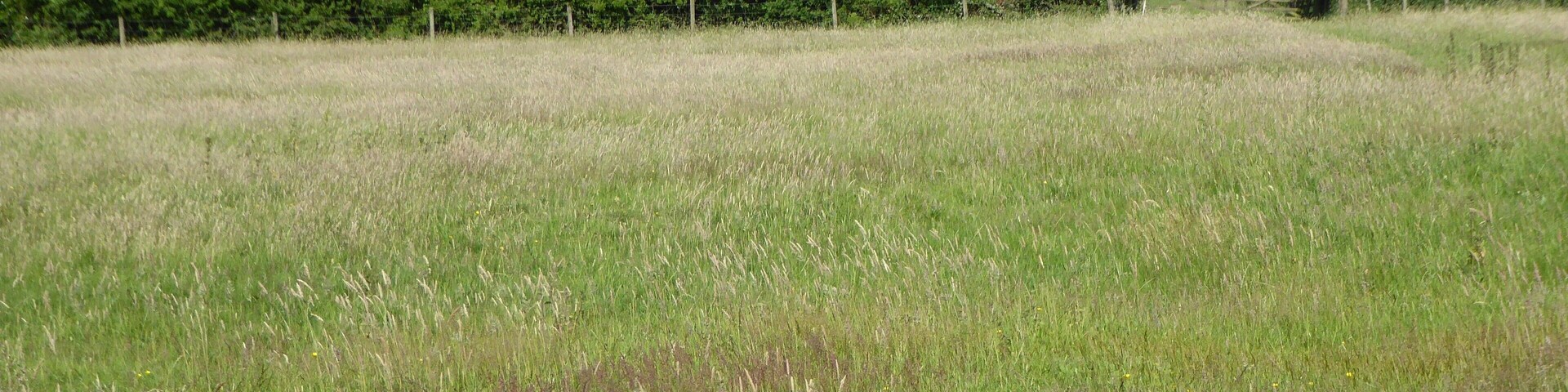 Foxburrow Farm is a nature reserve in Melton in Suffolk. It is managed by the Suffolk Wildlife Trust.