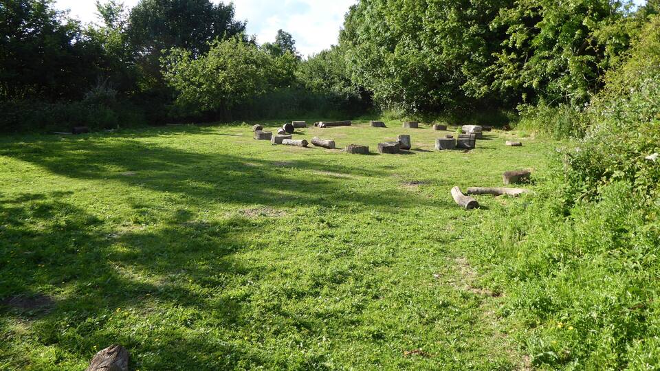 A grassy field with scattered logs and hay bales.