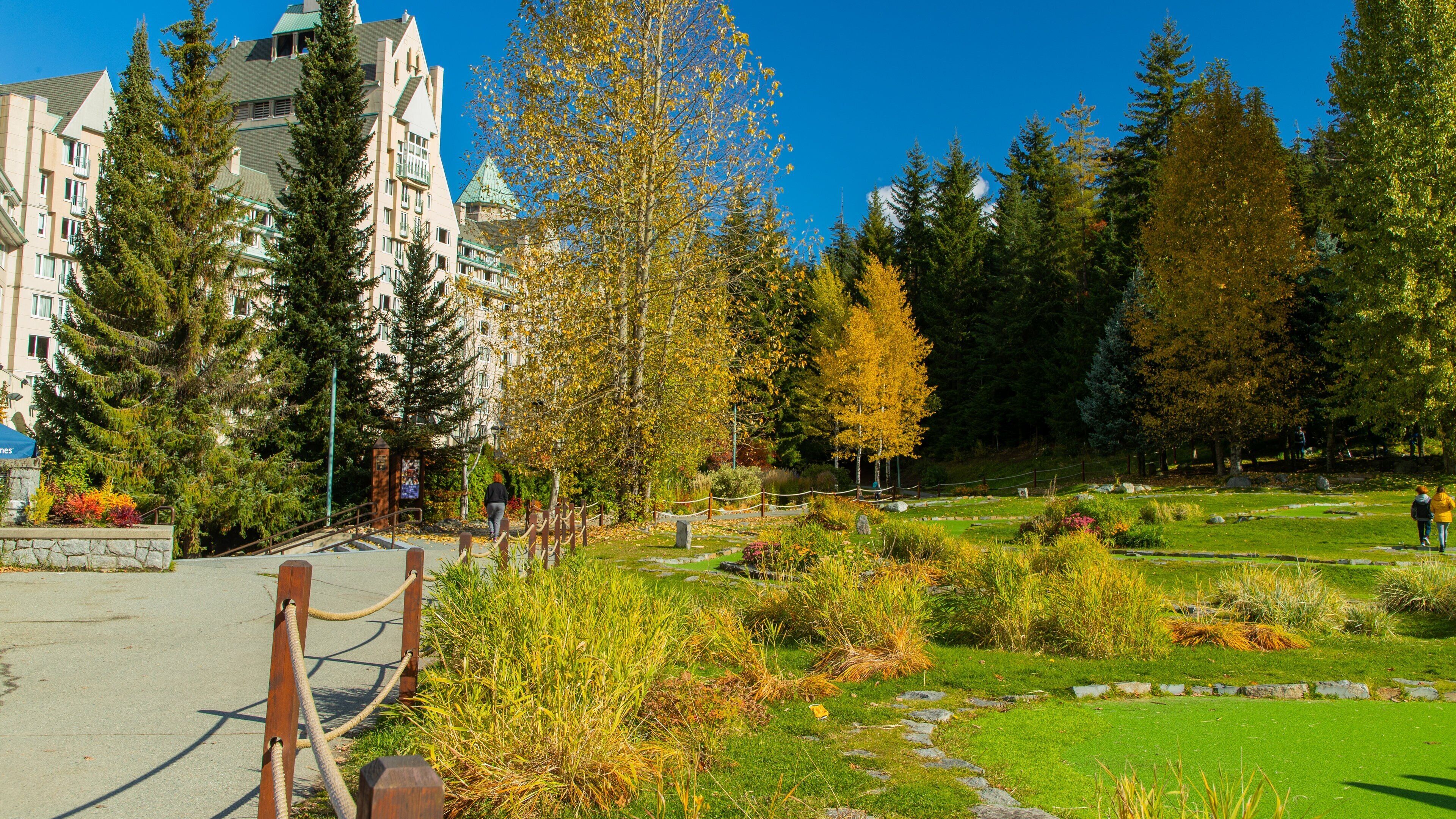 Upper Village showing a garden