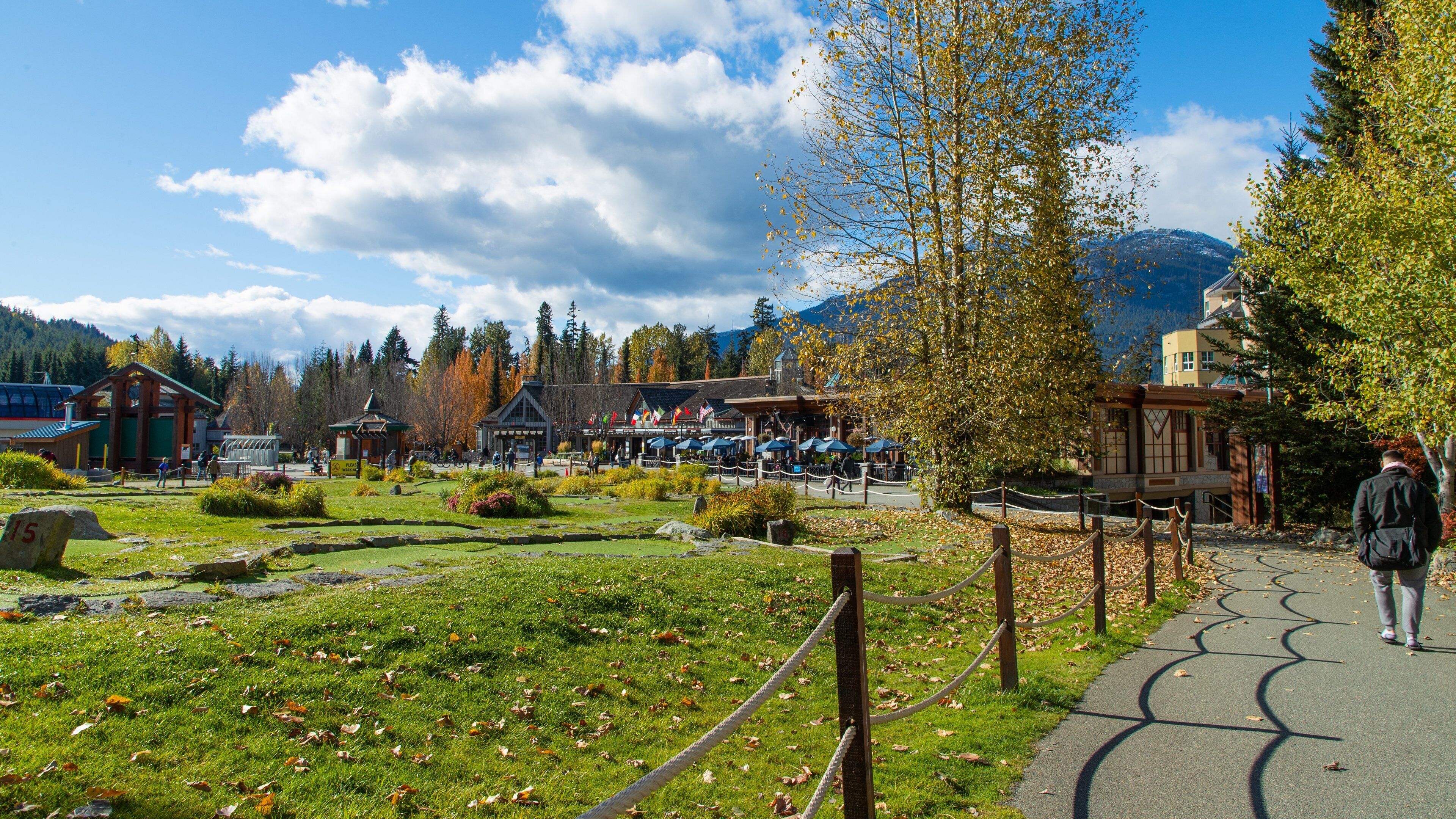 Upper Village showing a garden