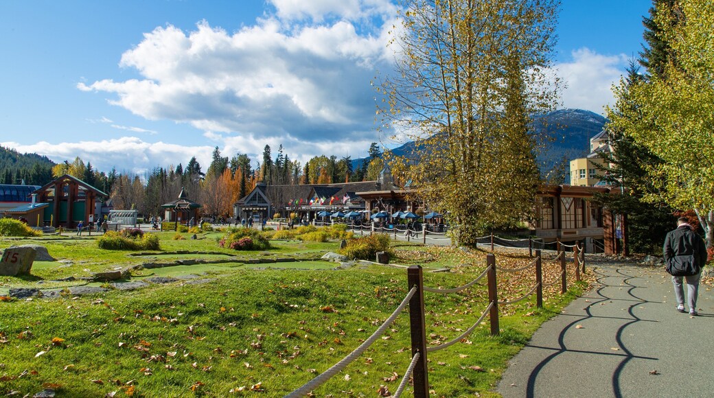 Upper Village showing a garden