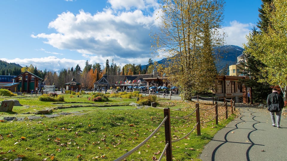 Upper Village showing a garden