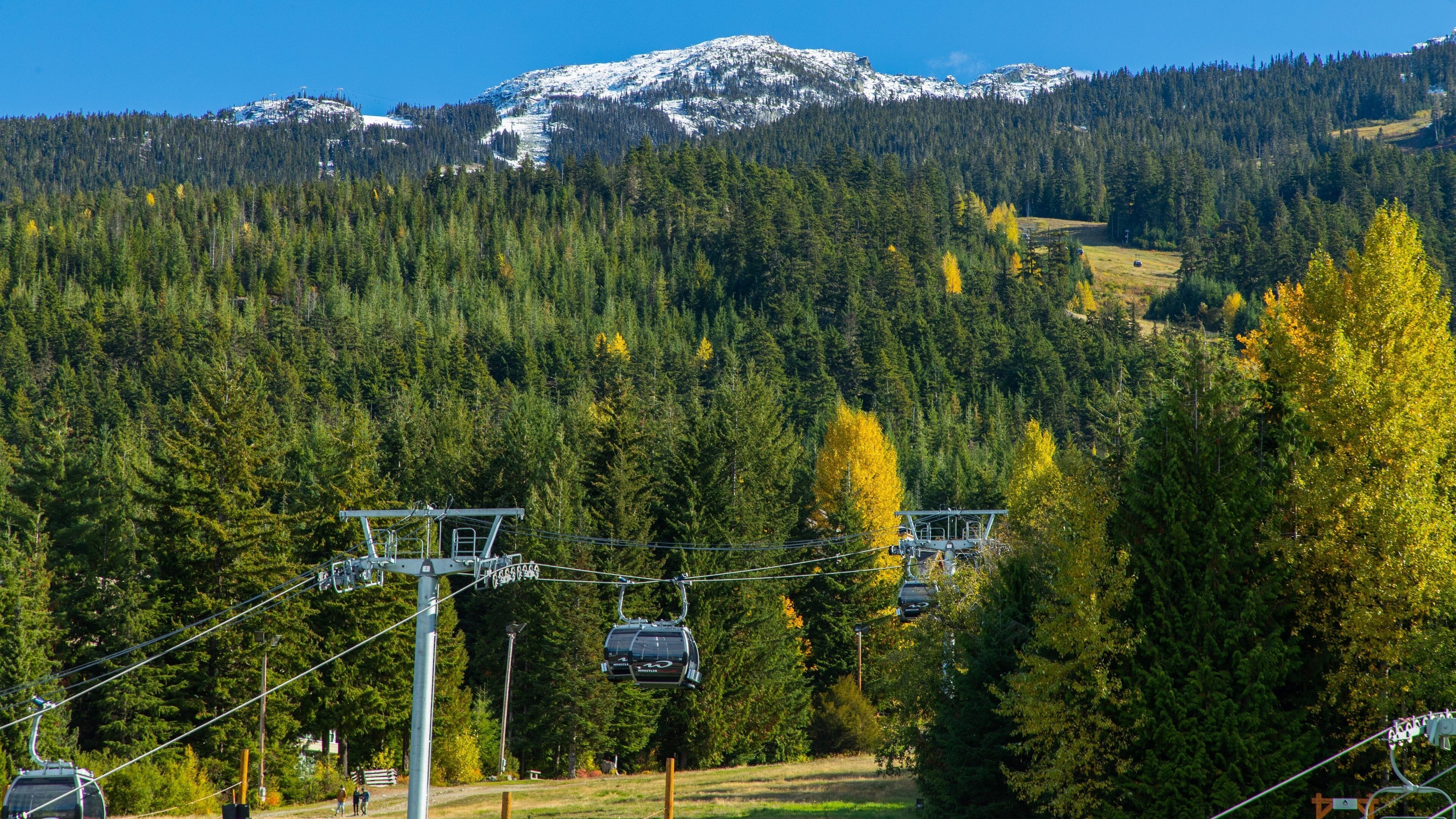 Upper Village which includes a gondola, forests and tranquil scenes