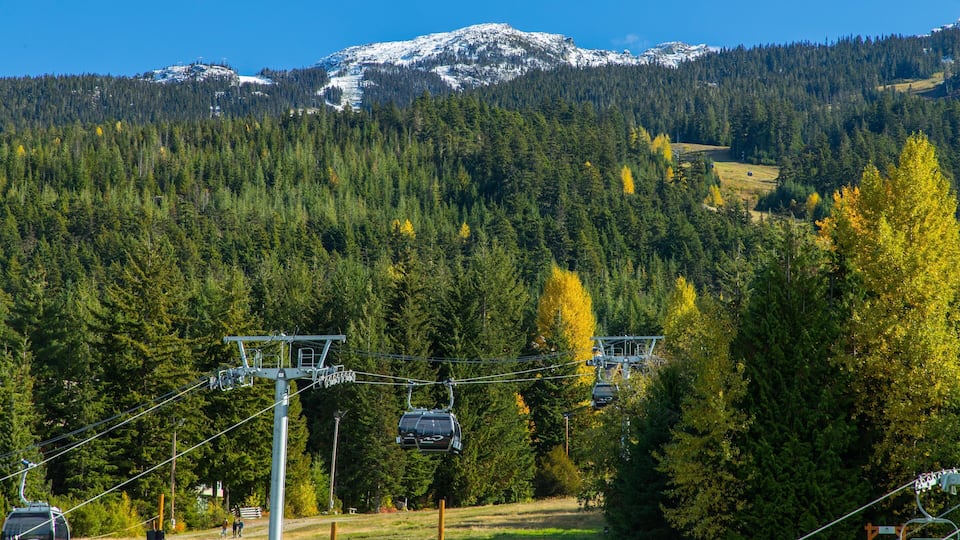 Upper Village which includes a gondola, forests and tranquil scenes