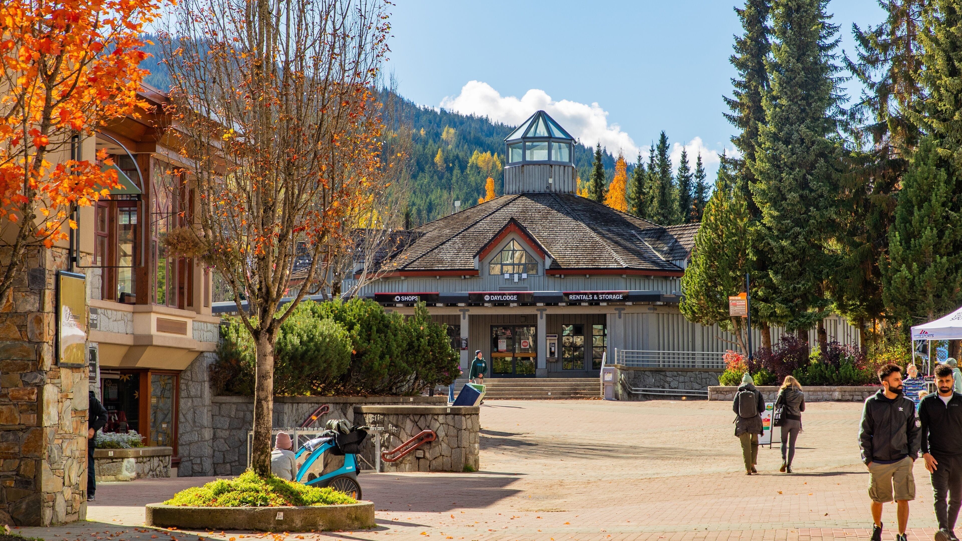 Upper Village showing street scenes as well as a couple