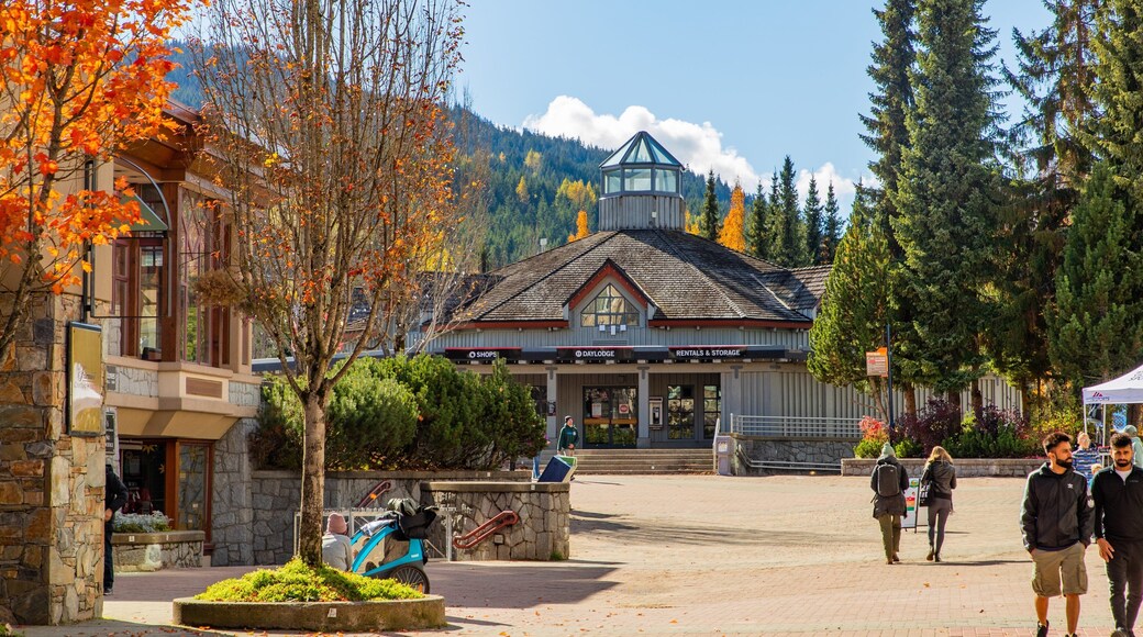 Upper Village showing street scenes as well as a couple