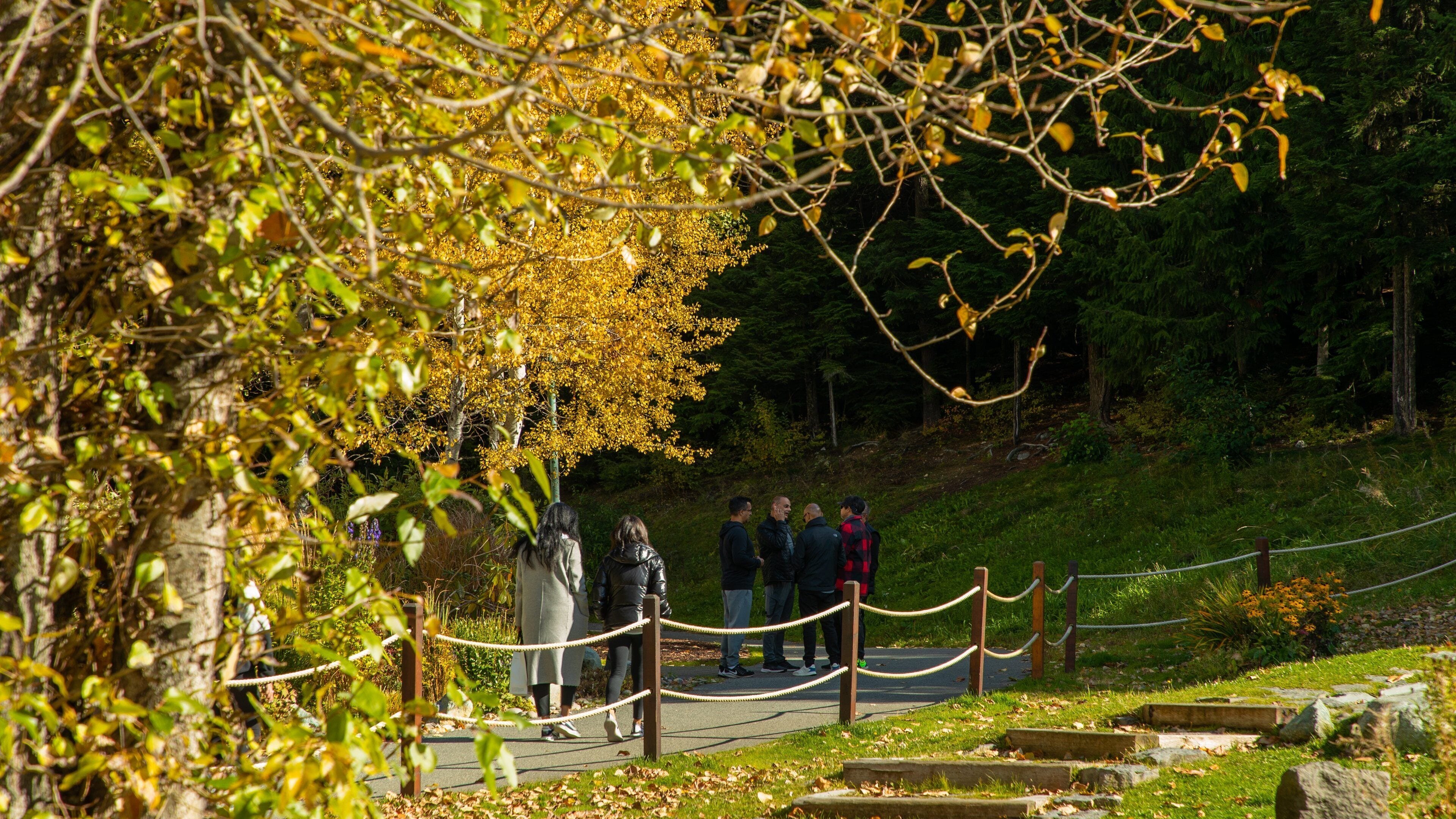 Upper Village which includes a garden as well as a small group of people