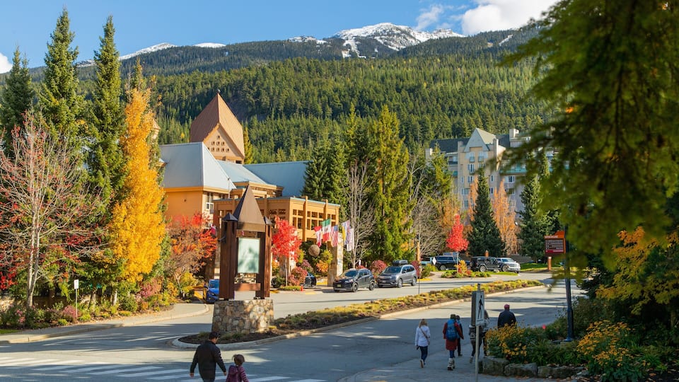 Upper Village showing landscape views and a small town or village