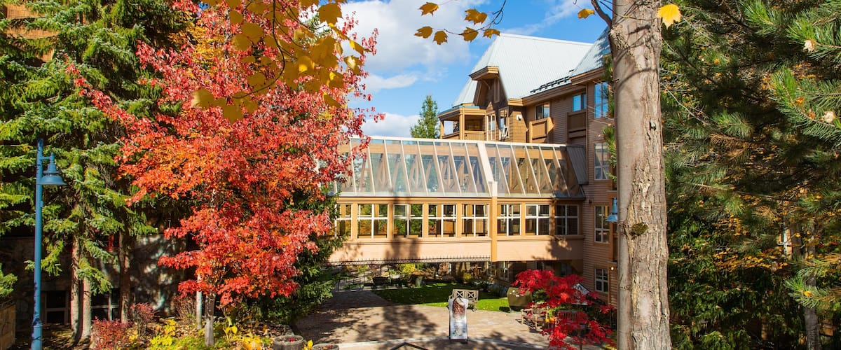 Upper Village which includes a park