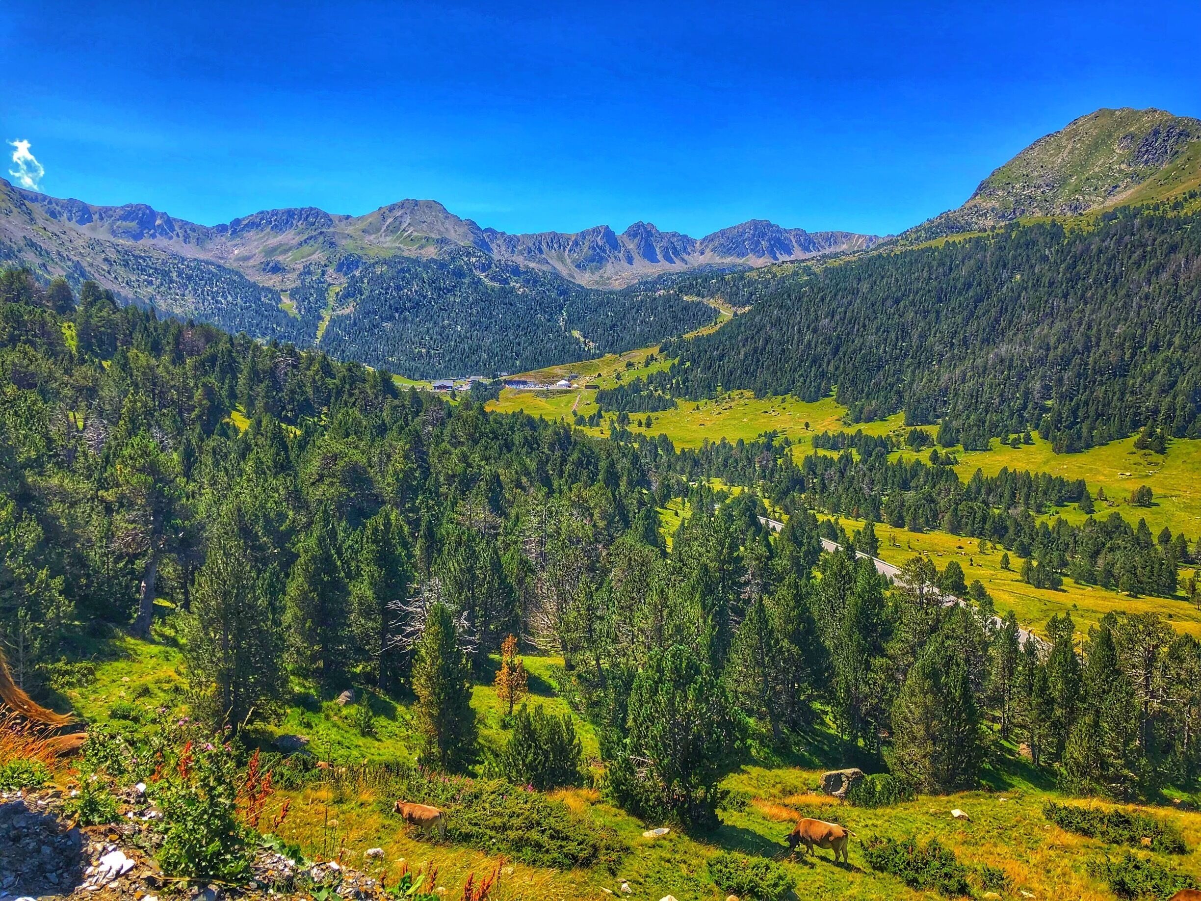 A mountainous landscape with dense forests, rolling hills, and a clear blue sky.