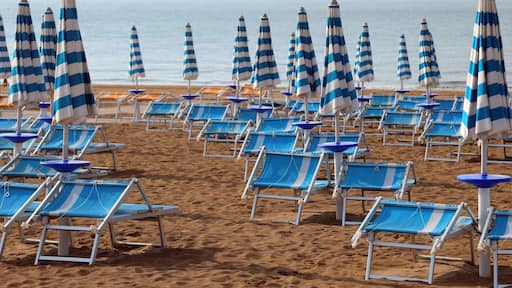 many umbrellas and deck chairs