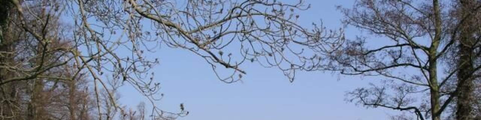 Great Bealings looking E.