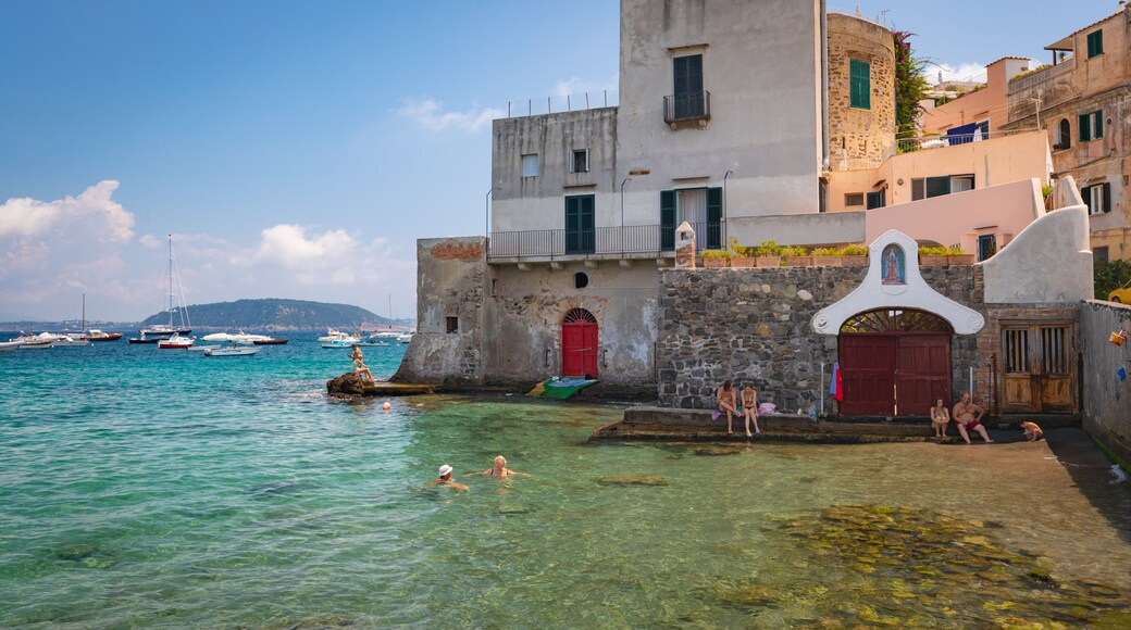 Ischia showing swimming, a coastal town and general coastal views