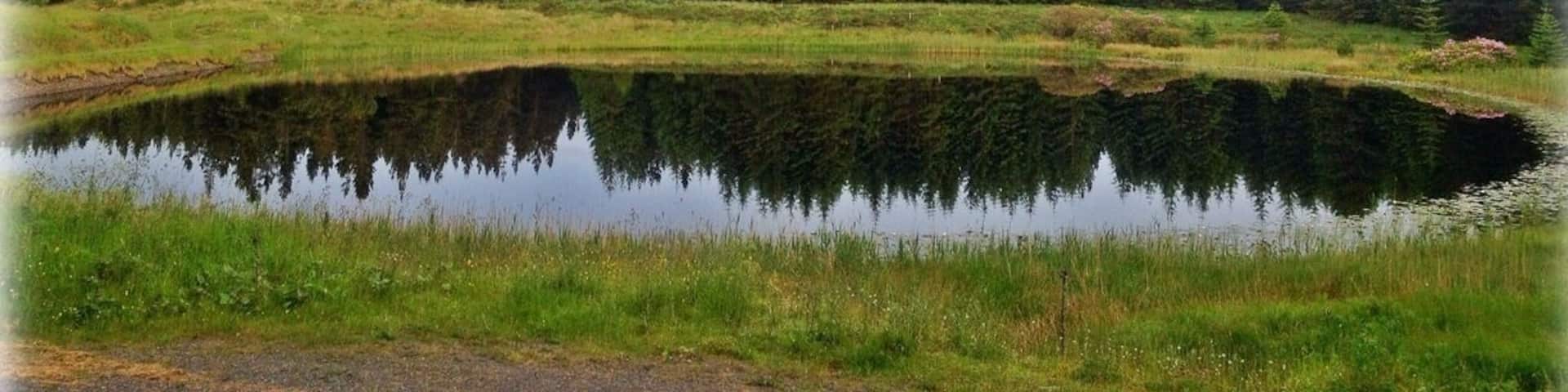 At the back of the bluestack mountains surrounded by a forest This little lake sits quietly alone. It's like a mirror for the forest.