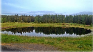 At the back of the bluestack mountains surrounded by a forest This little lake sits quietly alone. It's like a mirror for the forest.