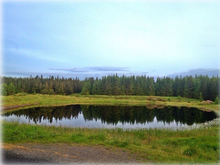 At the back of the bluestack mountains surrounded by a forest This little lake sits quietly alone. It's like a mirror for the forest.