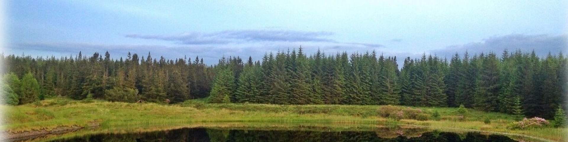 At the back of the bluestack mountains surrounded by a forest   This little lake sits quietly alone. It's like a mirror for the forest.