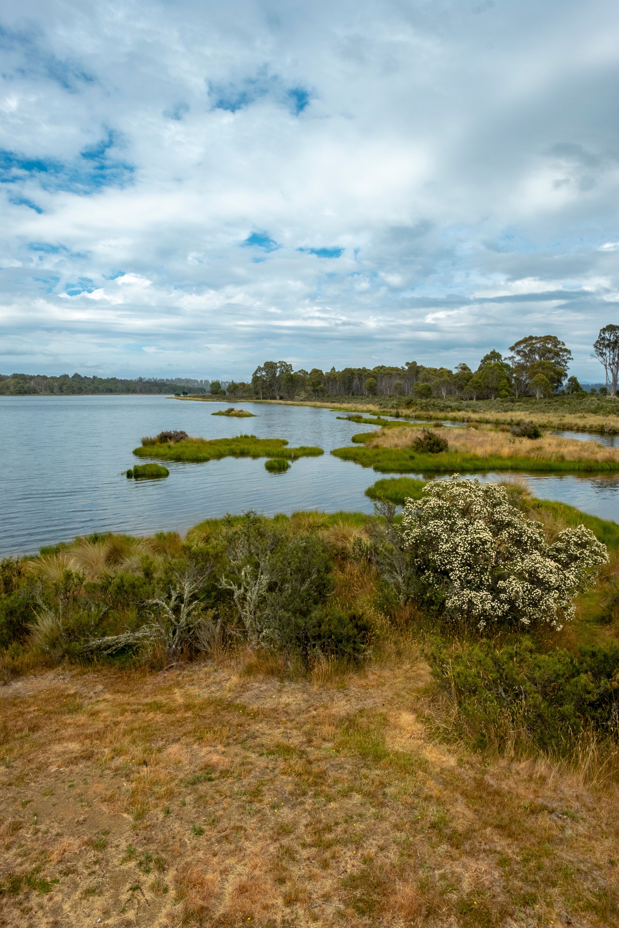 A lake surrounded by grassy areas and trees.