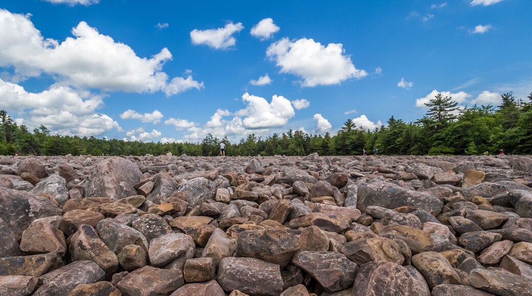 Boulder field in Hickory Run State Park, Pennsylvania
