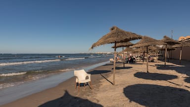 Tunisian beach with sun umbrellas