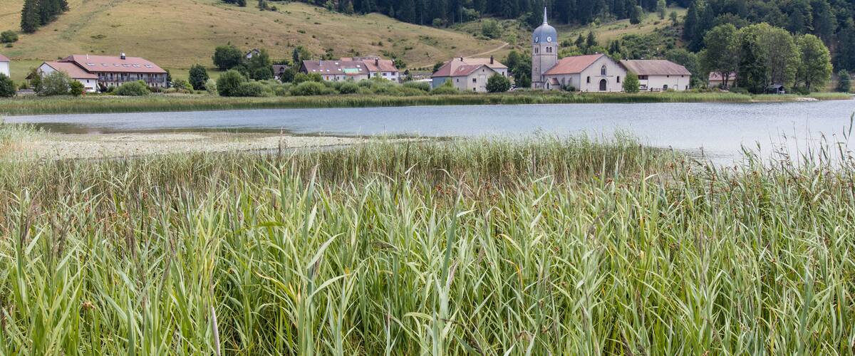 A lakeside village with houses and a church with a tower.