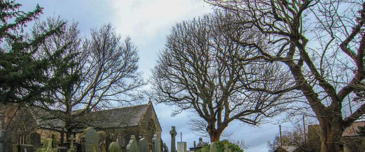 A cemetery with numerous gravestones and a church in the background.