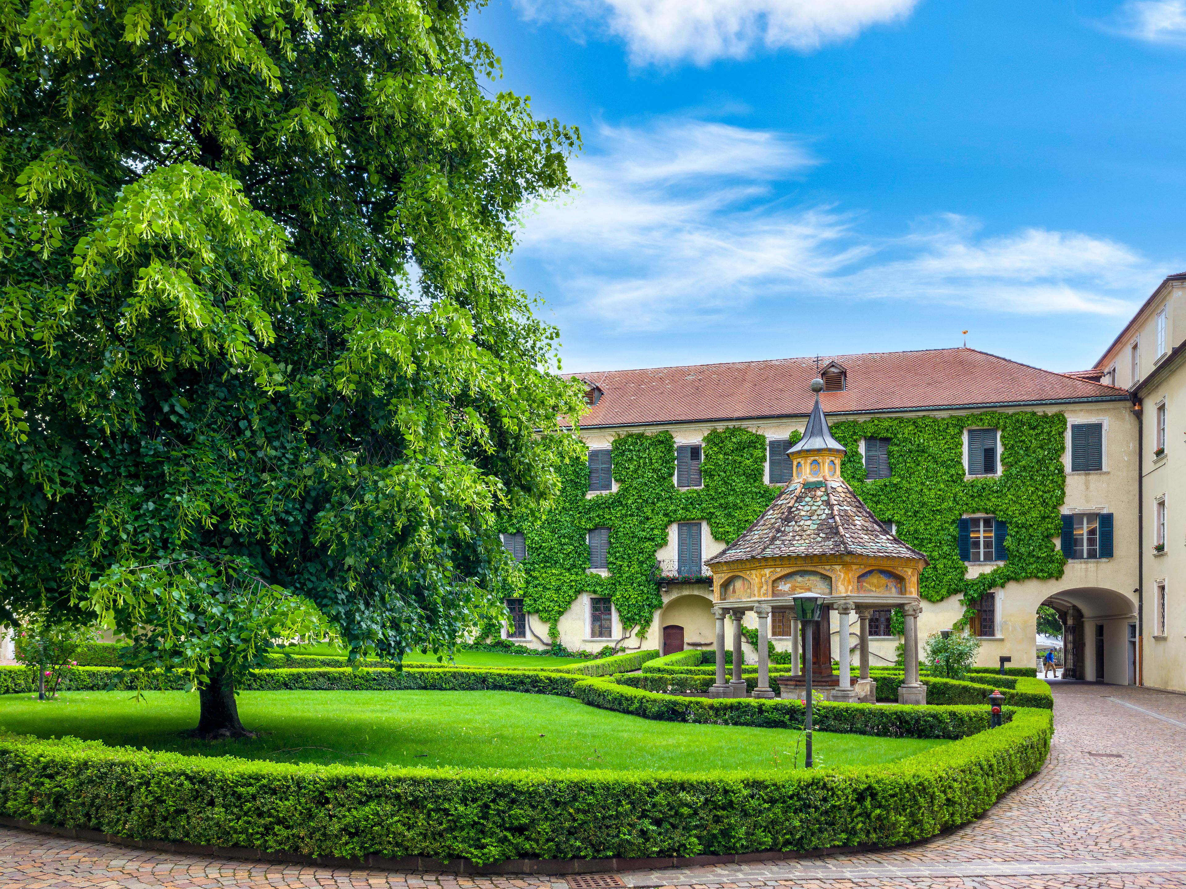 A courtyard with a large tree, a gazebo, and a building covered in ivy.