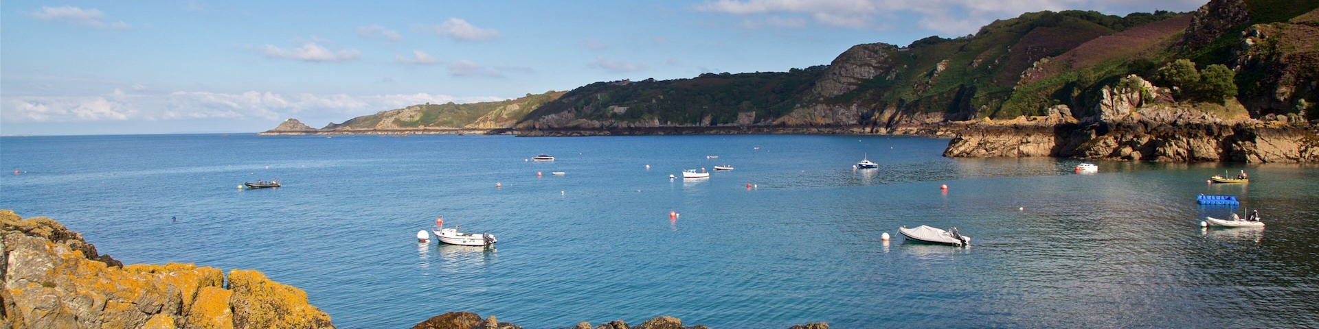 Bahía de Bouley que incluye vista general a la costa y costa escarpada