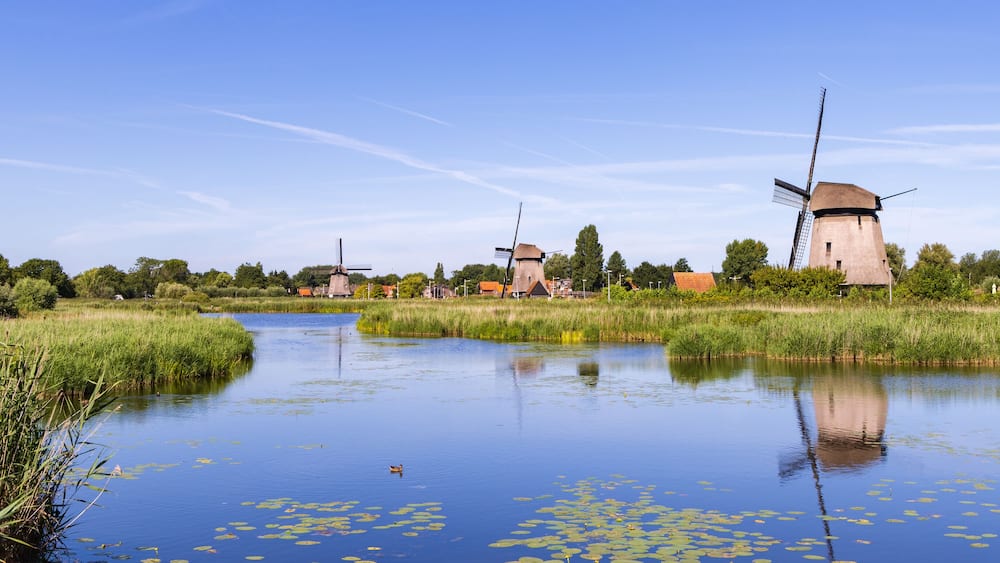 Row traditional windmill at Molenkade Hoornse Vaart in North Holland in The Netherlands