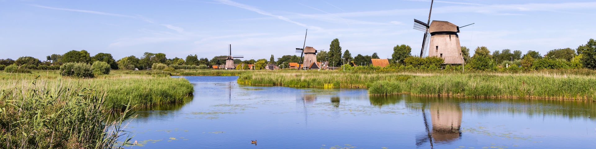 Row traditional windmill at Molenkade Hoornse Vaart in North Holland in The Netherlands
