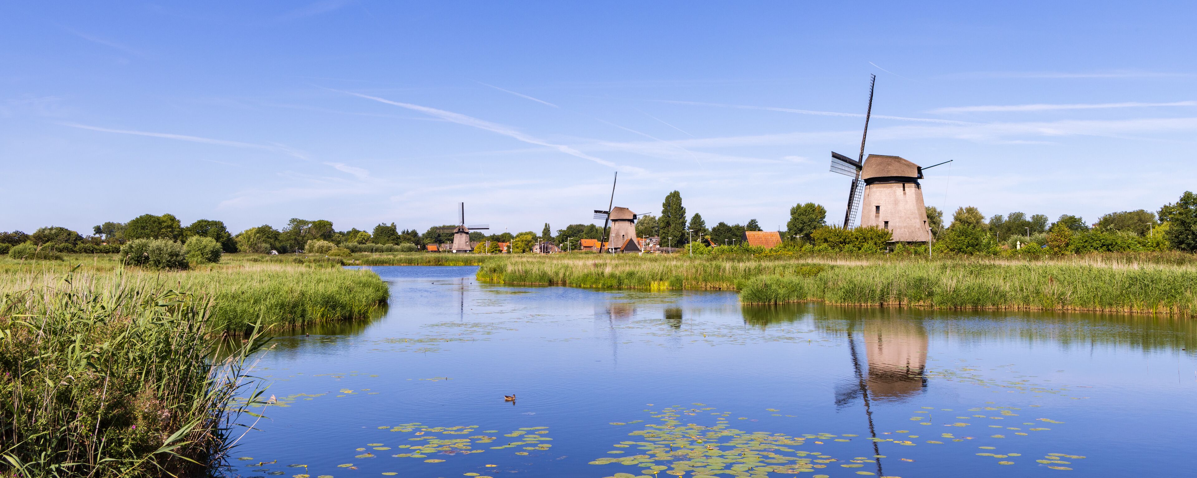 A calm river with lily pads, surrounded by lush greenery and windmills in the background.