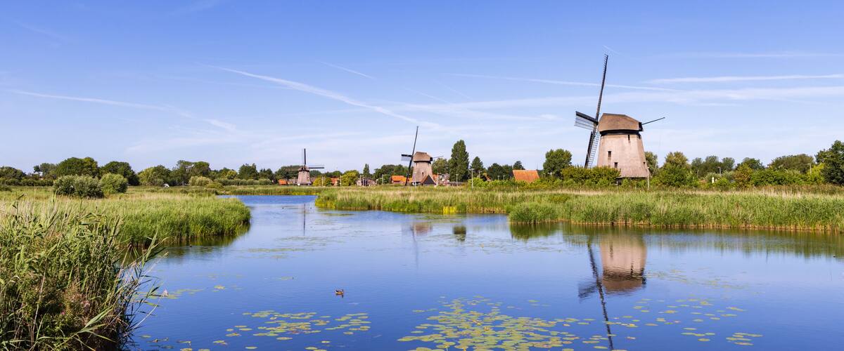 A calm river with lily pads, surrounded by lush greenery and windmills in the background.