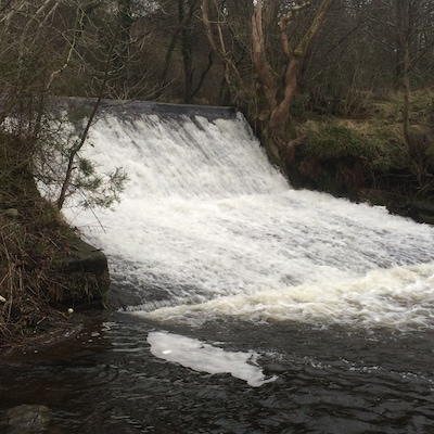 Falls