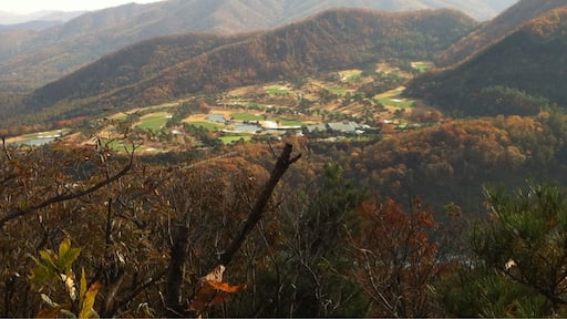 Golf course in Gonjiam , hwaseodam
guarden
there are many good scenery places