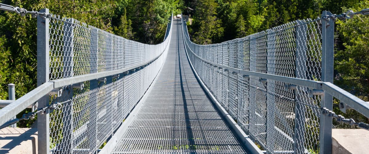 Ranney Gorge Suspension Bridge in summer.