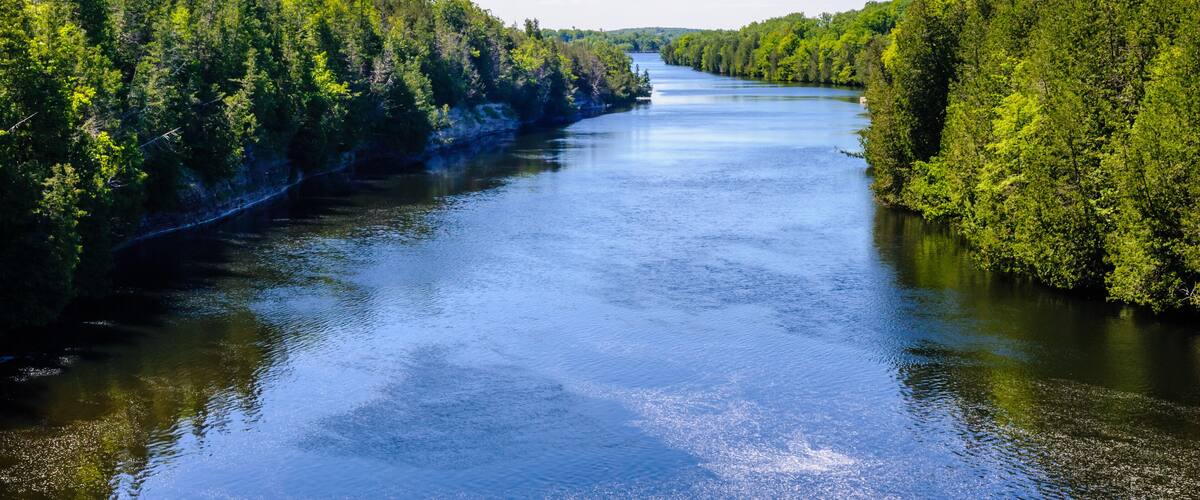 A river flanked by dense green forests under a clear blue sky.