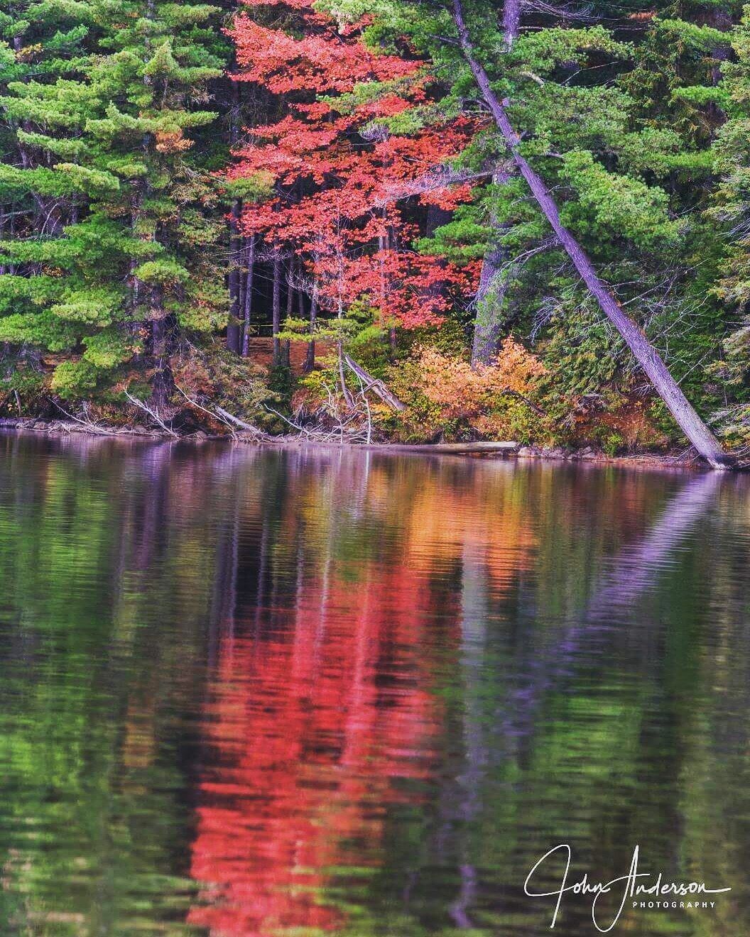 A calm lake with reflections of trees, including red and green foliage, and a forested shoreline.