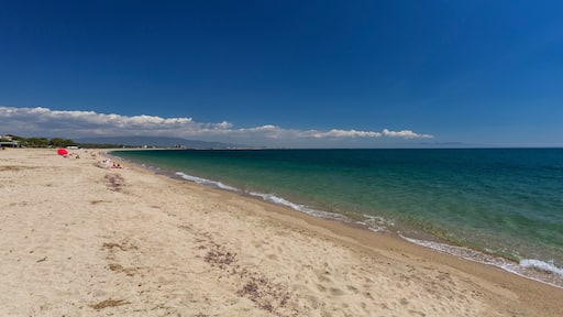 سبيغيا غراندي