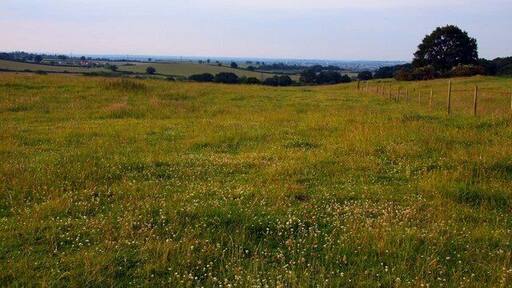 Oxford Preservation Trust's Old Berkeley Golf Course The Old Berkeley Golf Course is managed as a pasture to encourage wildlife.