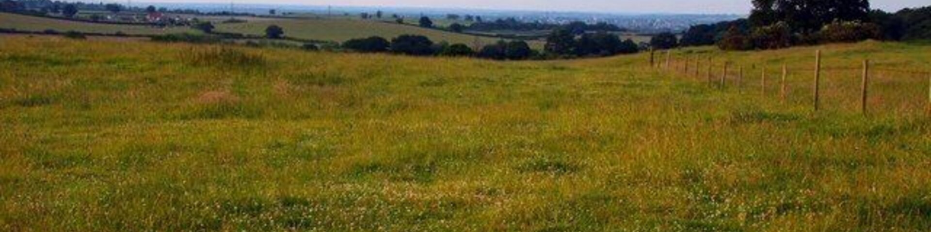Oxford Preservation Trust's Old Berkeley Golf Course The Old Berkeley Golf Course is managed as a pasture to encourage wildlife.