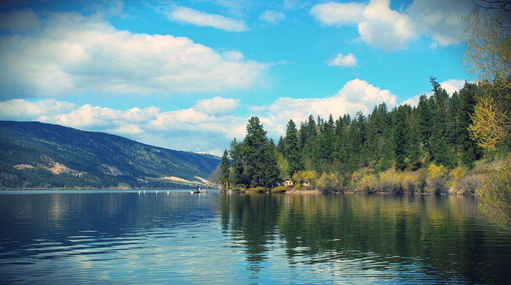 Scenic tranquil lake landscape with trees reflecting on water.