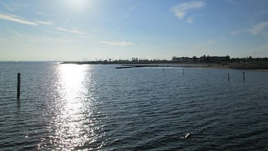 Sailboats in the distance. Gorgeous spring day!