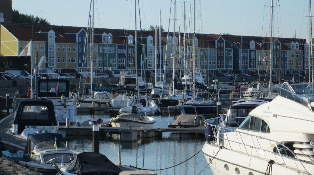Colorfully painted homes by the docks.