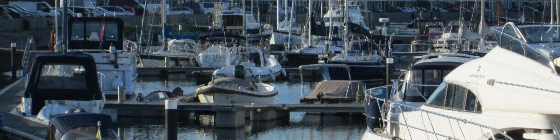 Colorfully painted homes by the docks.