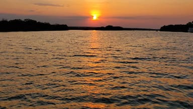 Cruise along the Zambezi River which flows in between Zambia and Zimbabwe