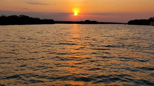 Cruise along the Zambezi River which flows in between Zambia and Zimbabwe