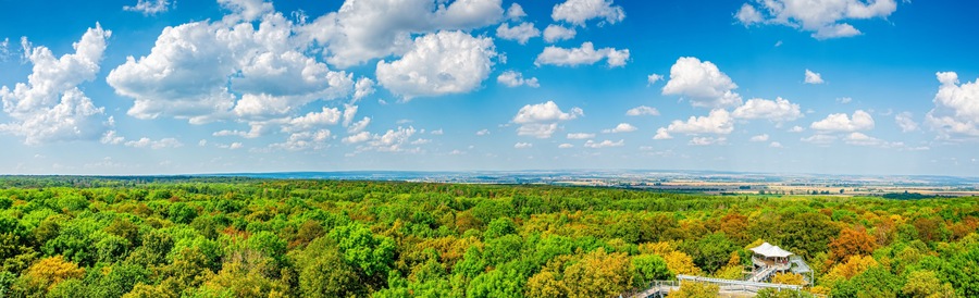 Panorama view from the treetop path in Hainichen in Thuringia Germany